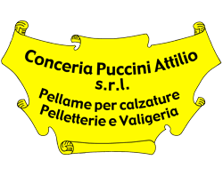 PUCCINI ATTILIO